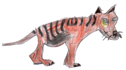 Thylacines